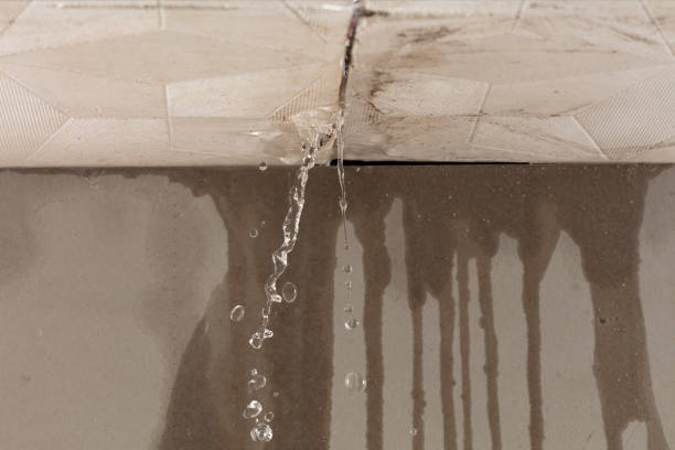Professional Water Damage Repair technician working in Townsend, DE